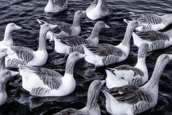 18-105mm@52mm f/8 shutter:1/125 iso:200