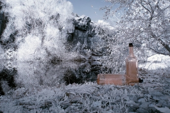 18-105mm@18mm f/8 shutter:1/90 iso:200