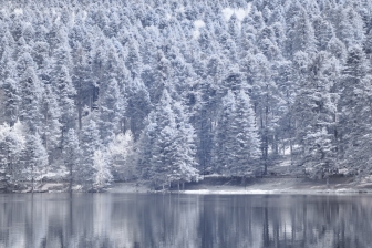 50mm f/8 shutter:1/125 iso:200