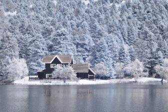 50mm f/8 shutter:1/125 iso:200