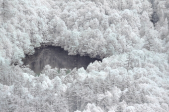 55-300mm@270mm f/8 shutter:1/500 iso:500