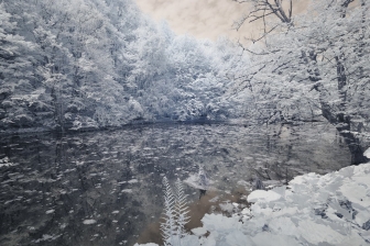 10-24mm@11mm f/8 shutter:1/60 iso:200