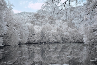 10-24mm@24mm f/8 shutter:1/125 iso:200